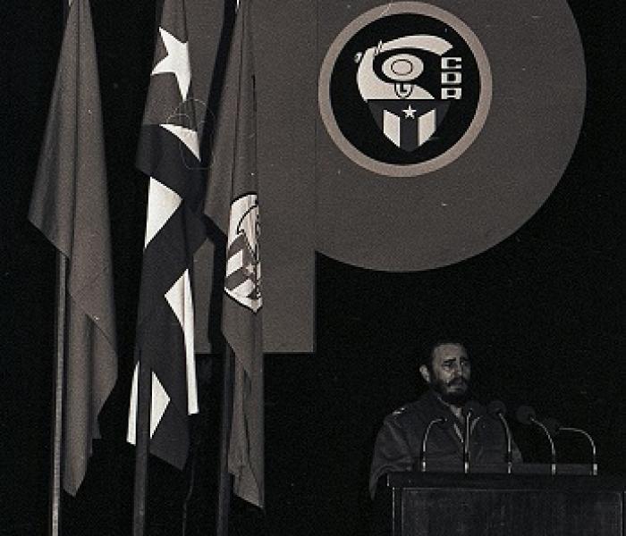 Los Comités de Defensa de la Revolución. La más poderosa de las